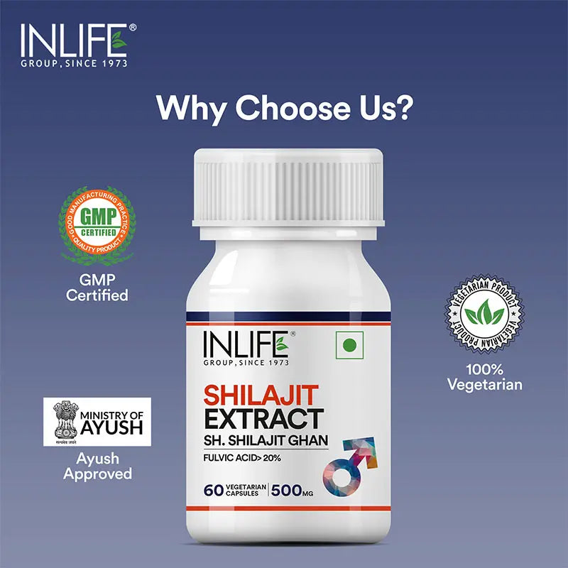 Inlife Shilajit Extract Supplement |500 mg| Veg. Capsules