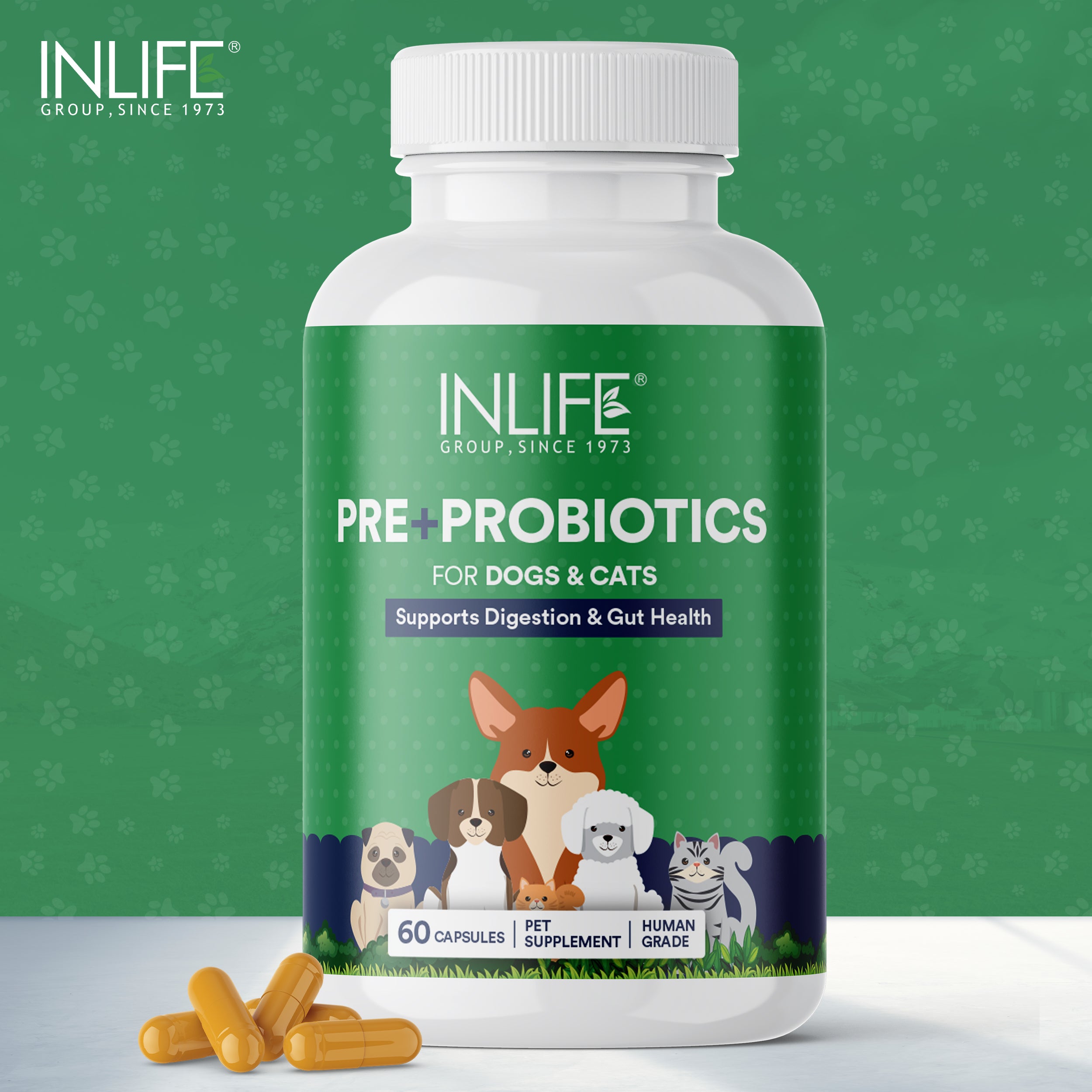 INLIFE Prebiotics & Probiotics for Dogs Cats Pets | Supplements for Gut Health | Lactobacillus Bacteria for Digestive Health | Immunity  - 60 Capsules
