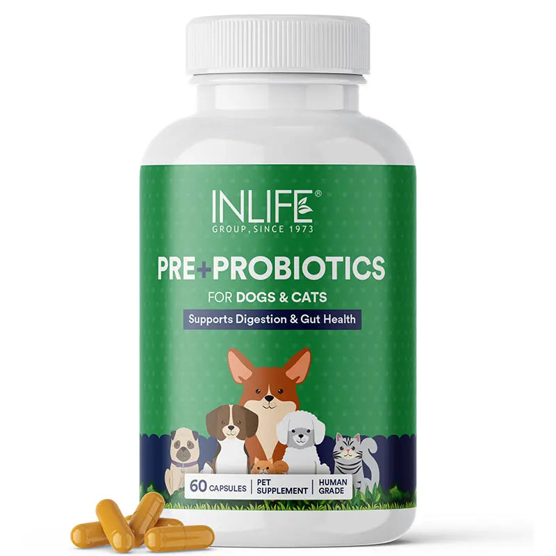 Inlife Prebiotics & Probiotics Pet Supplements for Dogs Cats|60 Capsules