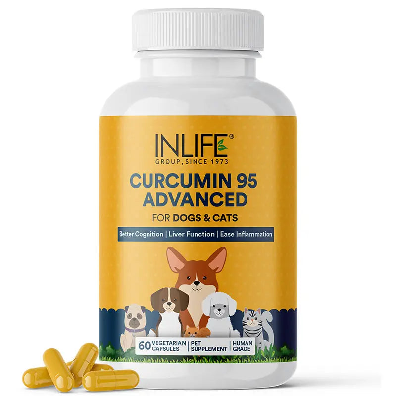 Inlife Curcumin with Piperine for Dogs Cats Pets | 95% Curcuminoids for Immunity, Ease Inflammation - 60 Veg. Capsules