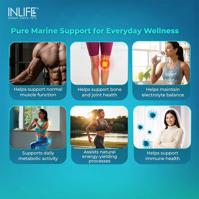 Key benefits of INLIFE Aquamin Magnesium such as energy support, muscle function support, and daily balance. 