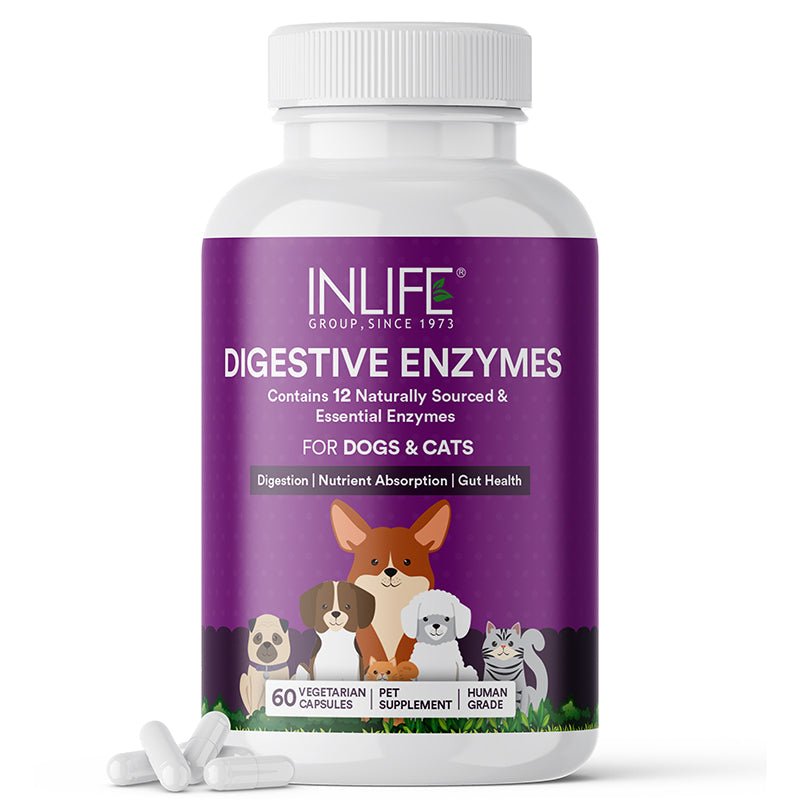 Inlife Digestive Enzymes for Dogs Cats | 12 Naturally Sourced & Essential Enzymes | Healthy Digestion, Immunity - 60 Veg. Capsules - Inlife Pharma Private Limited