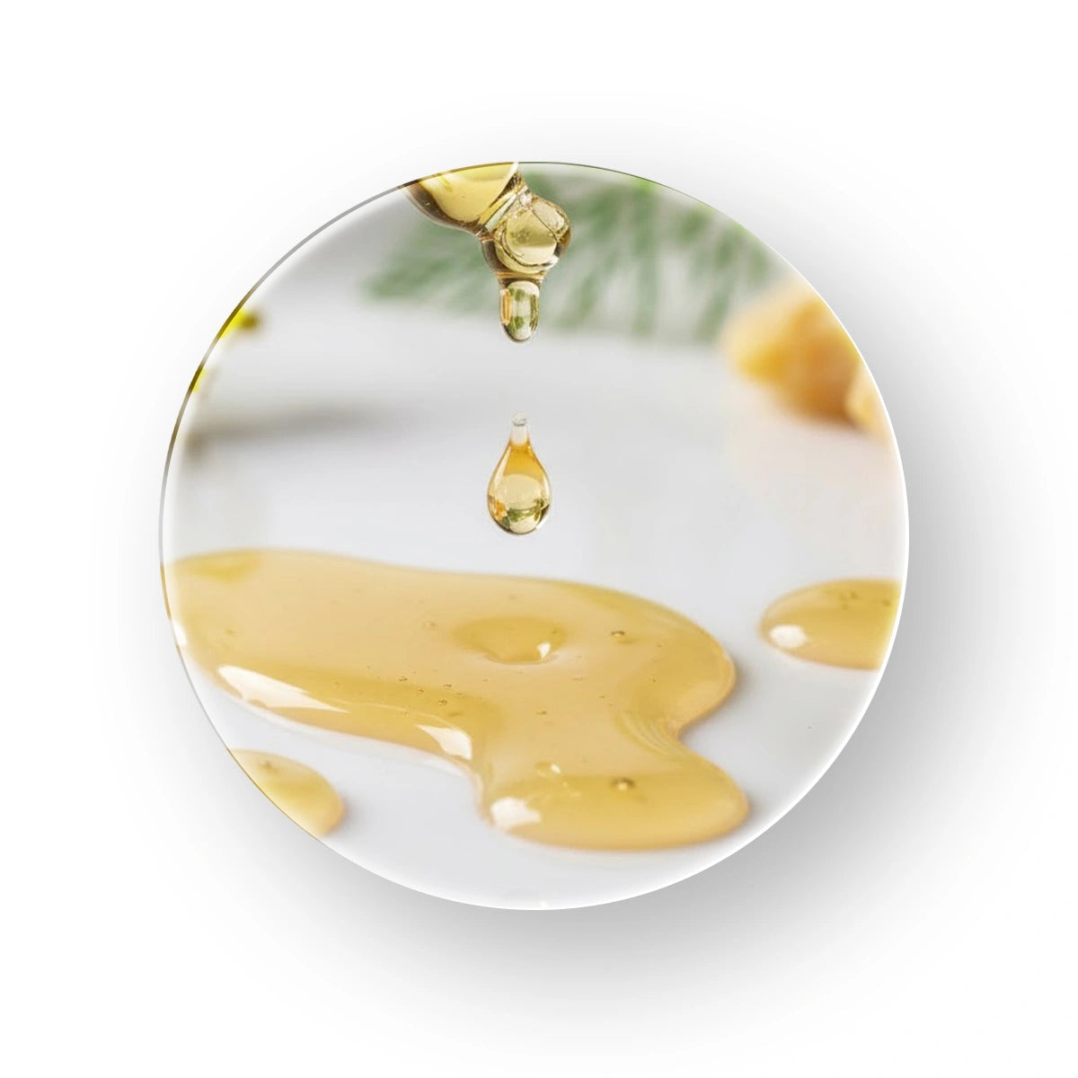 Hing Oil (Asafoetida) extracted from Ferula asafoetida oleo-gum-resin, steam-distilled for purity.