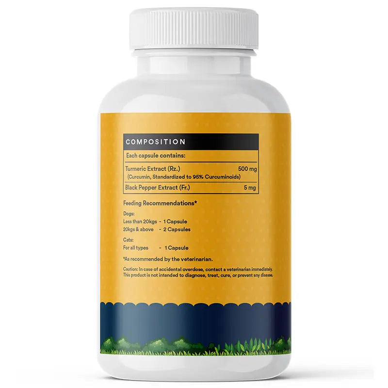 Inlife Curcumin with Piperine for Dogs Cats Pets | 95% Curcuminoids for Immunity, Ease Inflammation - 60 Veg. Capsules