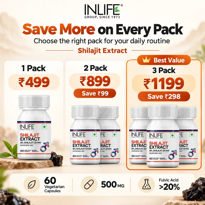 Inlife Shilajit Extract Supplement, 500 mg, Veg. Capsules