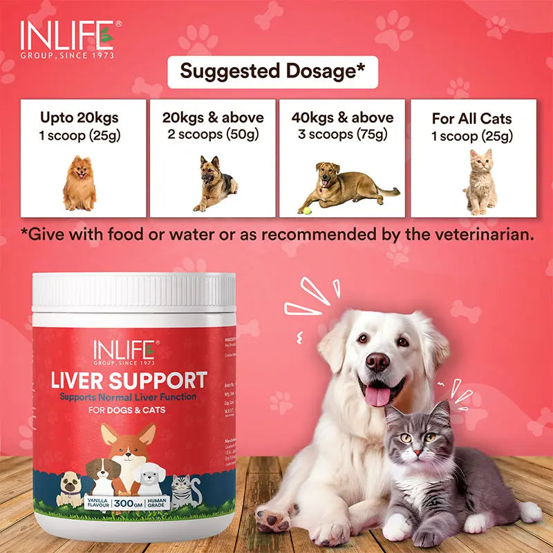 Inlife Liver Support Powder Supplement for Dogs Cats Pets | 300g (Vanilla)