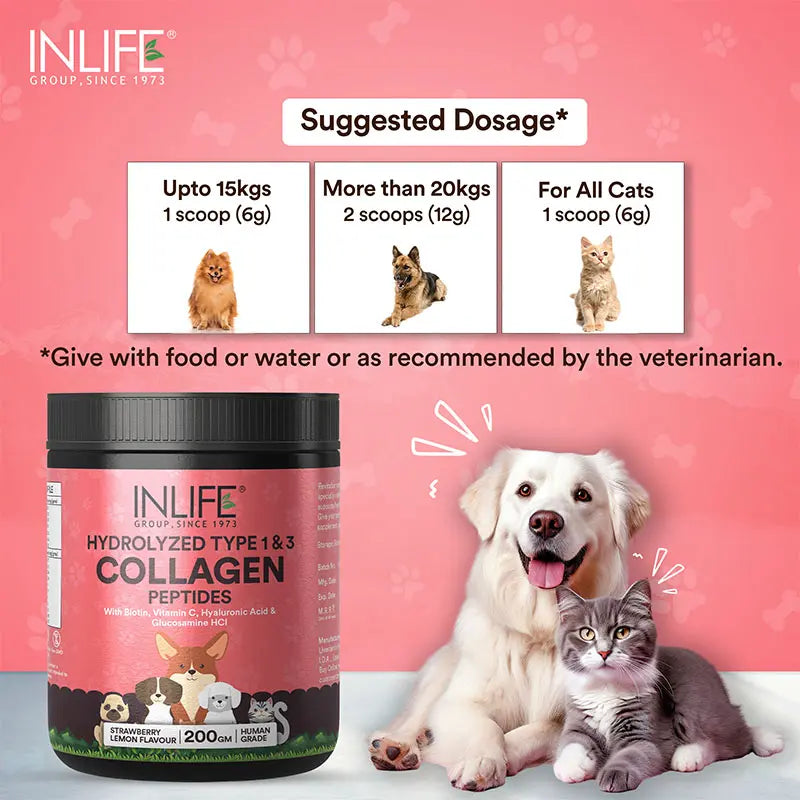 Inlife Hydrolyzed Type 1 & 3 Collagen Peptides Supplement for Pets  | Available in 3 flavors: