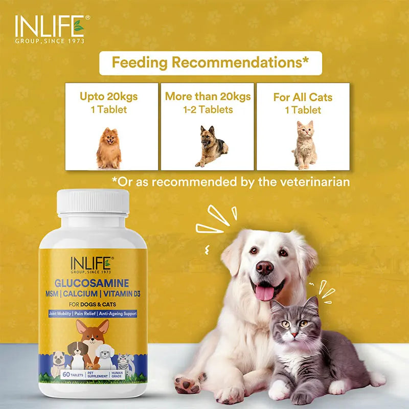 Inlife Glucosamine Tablets for Dogs & Cats|With MSM Calcium & Vitamin D3|60 Tablets