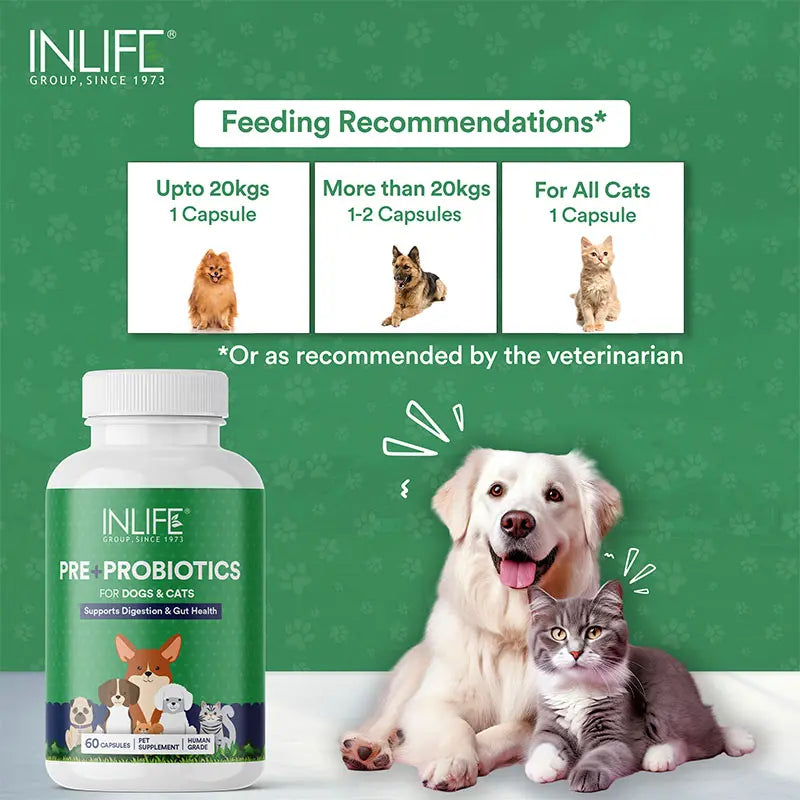 Inlife Prebiotics & Probiotics Pet Supplements for Dogs Cats|60 Capsules