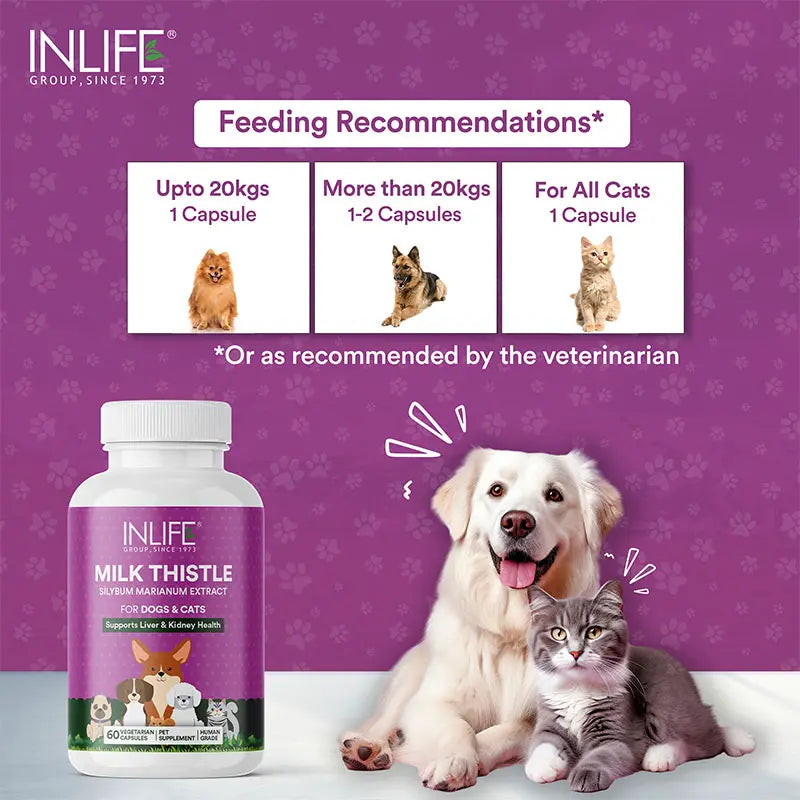 Inlife Milk Thistle Capsules for Dogs & Cats | 400mg | Veg. Capsules