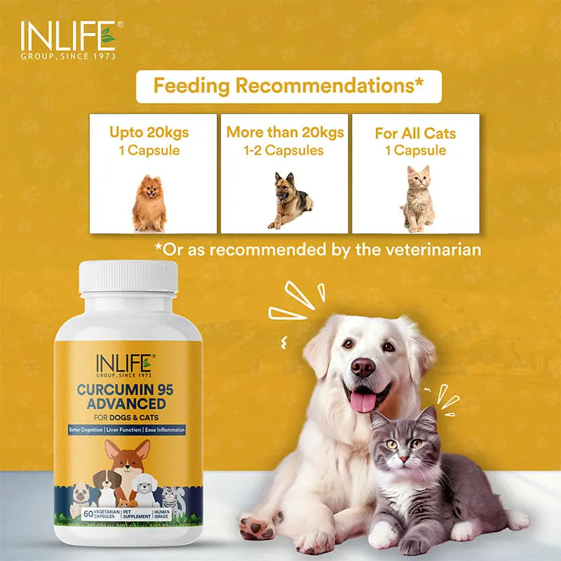 Inlife Curcumin with Piperine for Dogs Cats Pets | 95% Curcuminoids for Immunity, Ease Inflammation - 60 Veg. Capsules