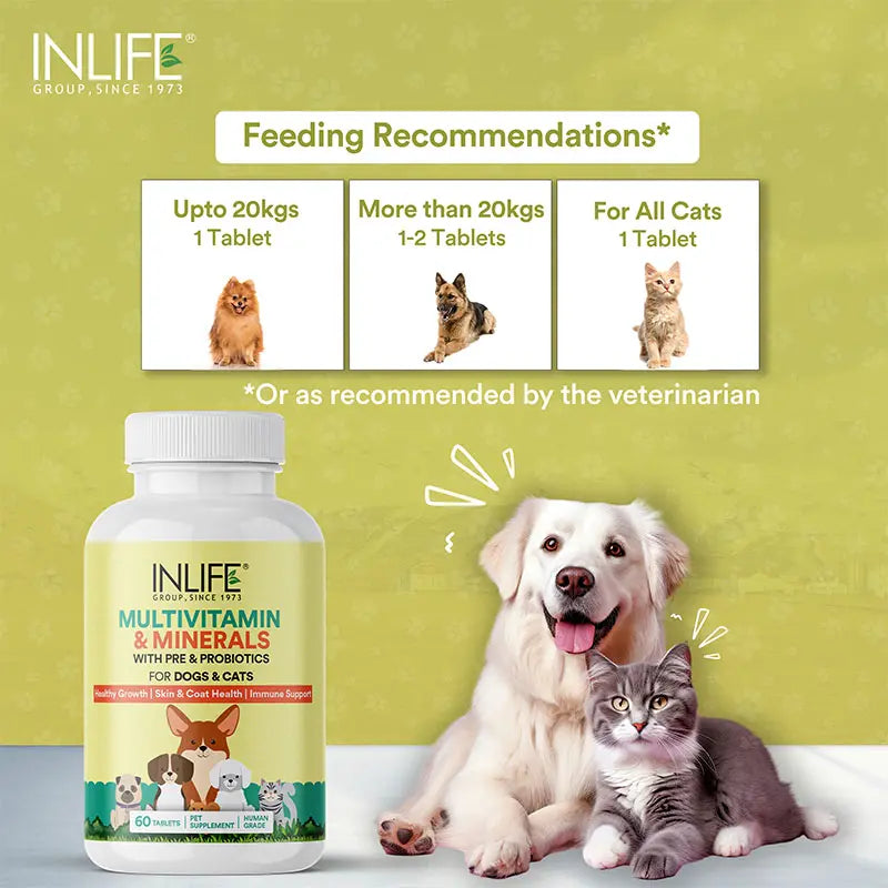 Inlife Multivitamin and Minerals Supplement for Pets | 60 Tablets