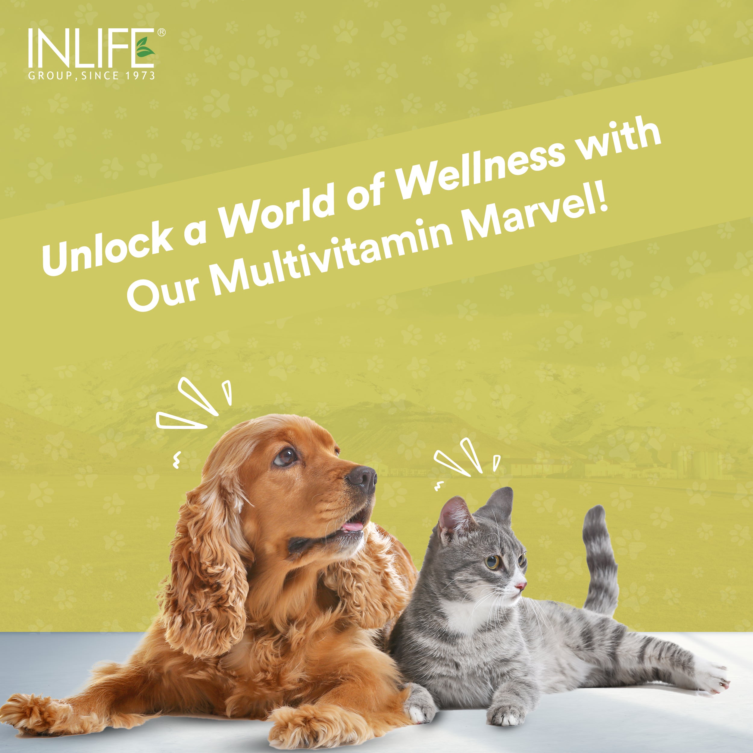 INLIFE Multivitamins Supplement for Dogs for Healthy Growth, Skin & Coat - 60 Tablets