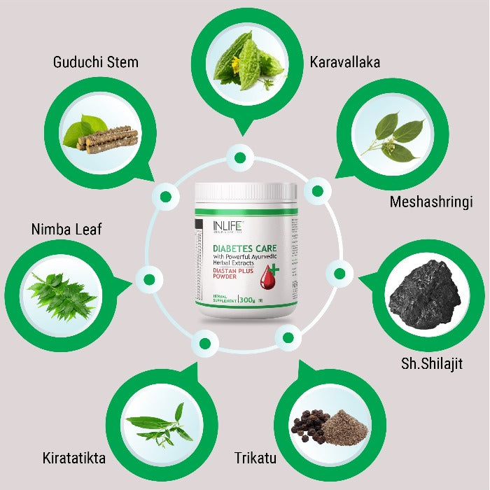 INLIFE  Diastan Plus Powder Ayurvedic Herbal Supplement, 300 grams (Natural)