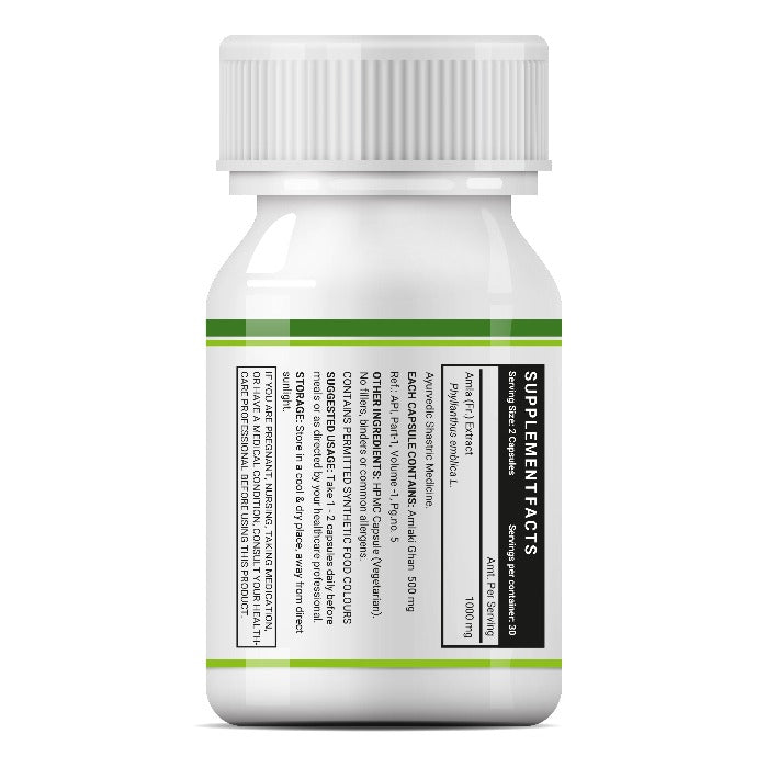 INLIFE Natural Vitamin C Amla Extract for Immunity Supplement, 1000mg - 60 Vegetarian Capsules